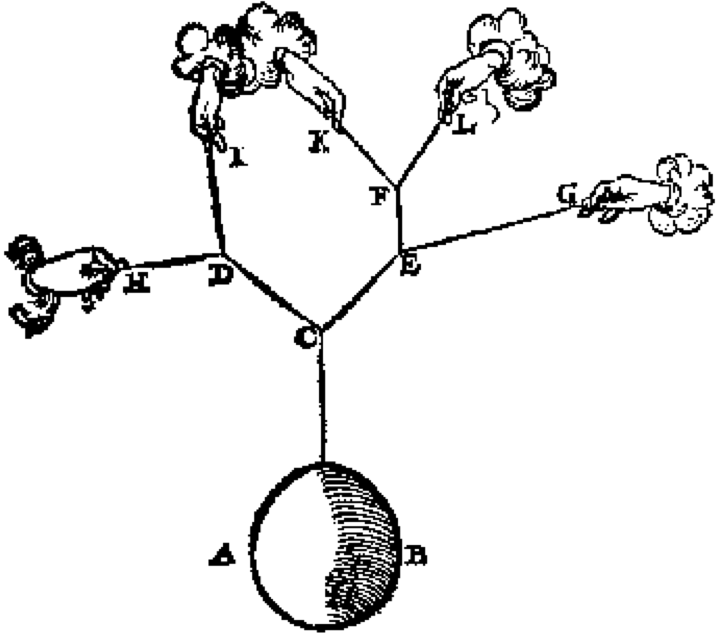 A weight hanging from a tree of ropes, from Stevin (1605).