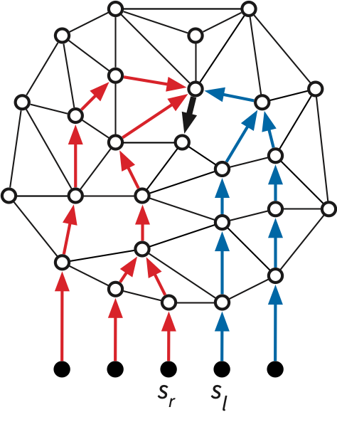 The black edge is shared by all shortest-path trees, but not properly shared by T_i and T_k.