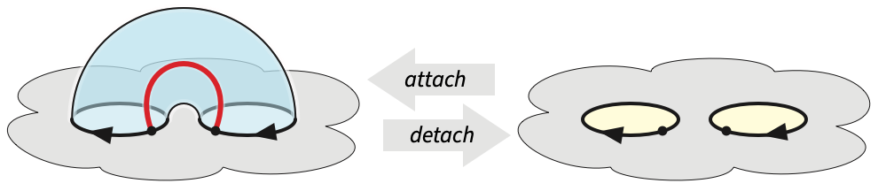 Detaching or attaching a handle.
