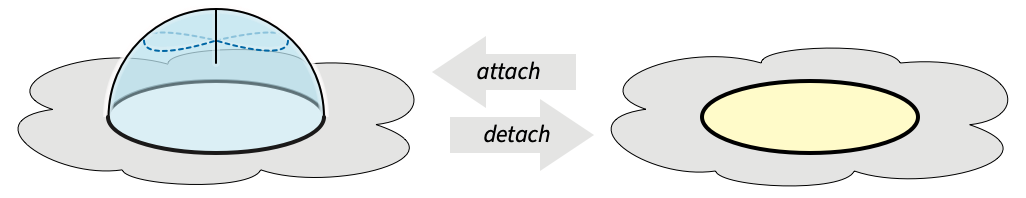 Detaching or attaching a twist.